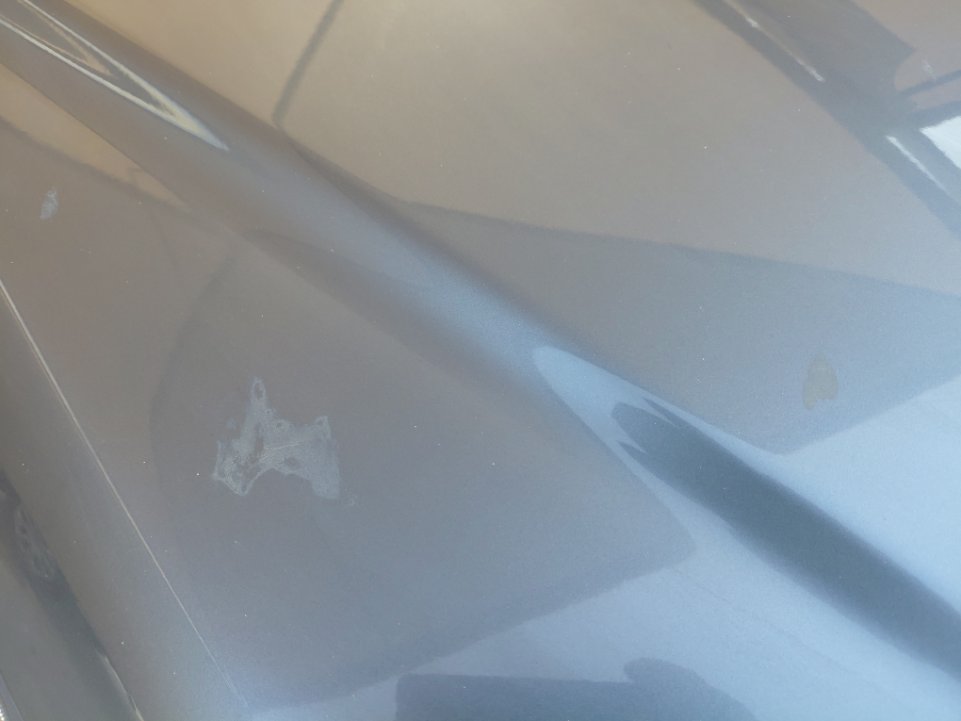 تويوتا كورولا XLI EXE 2024 image