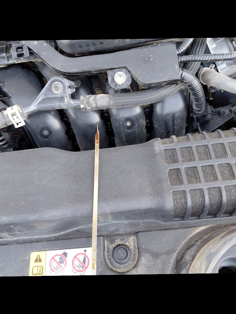 تويوتا كورولا XLI 2024 image