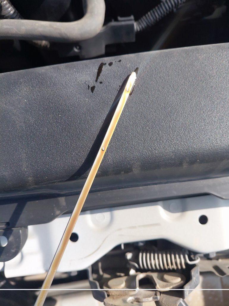 Toyota Corolla XLI 2021 image