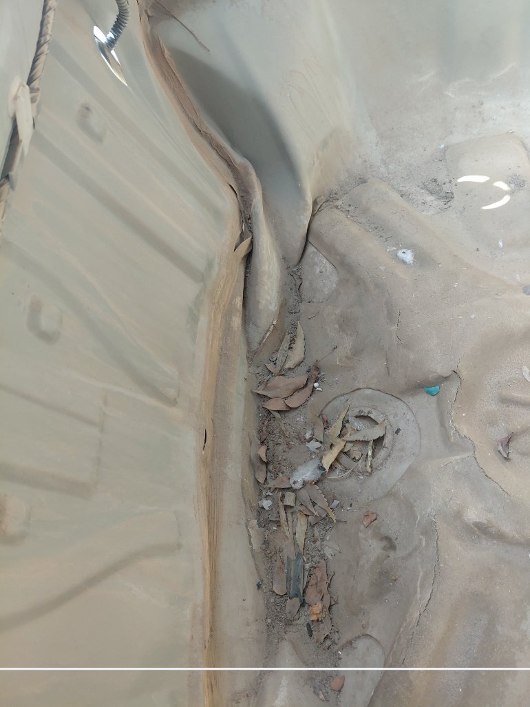 Toyota Corolla XLI 2021 image