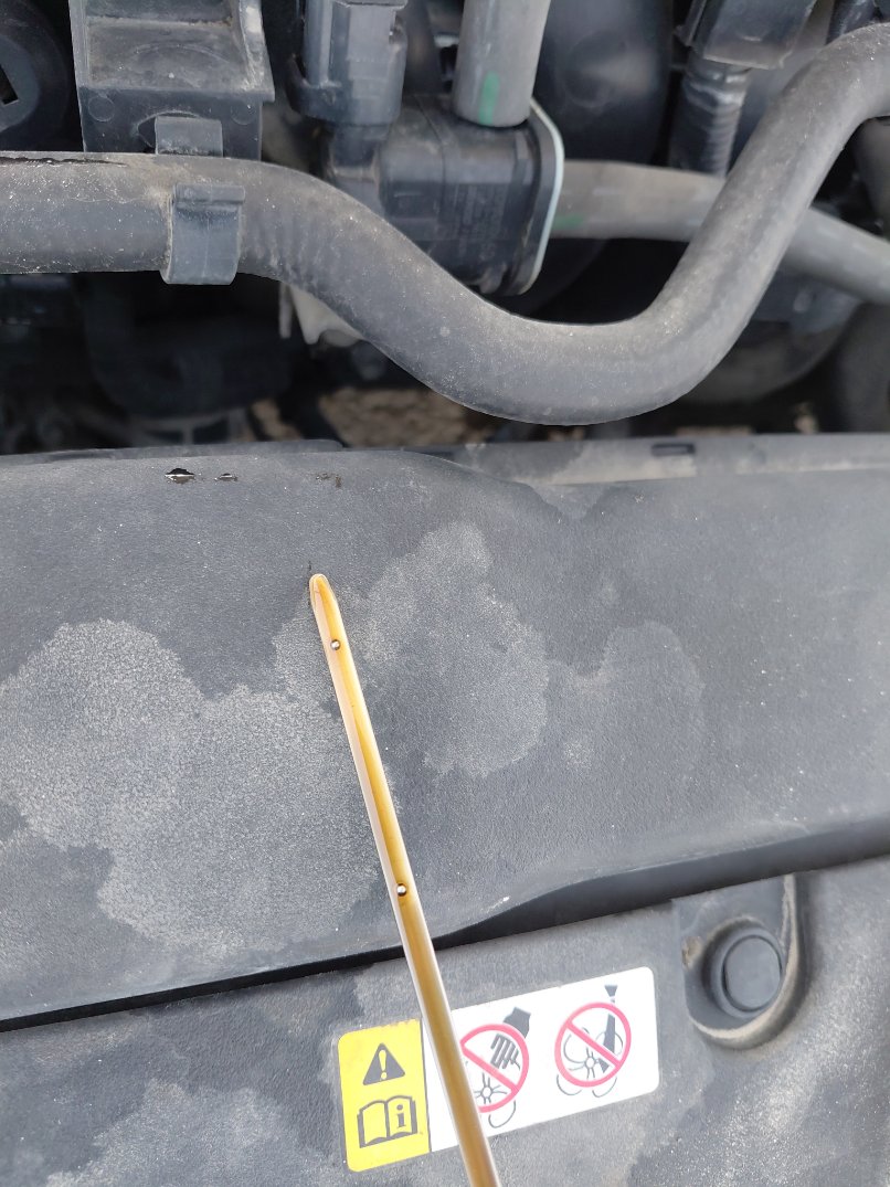 تويوتا كورولا XLI 2021 image