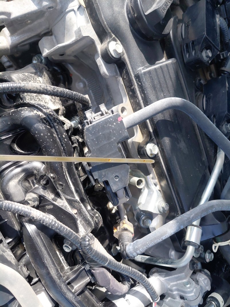 Toyota Corolla XLI 2025 image