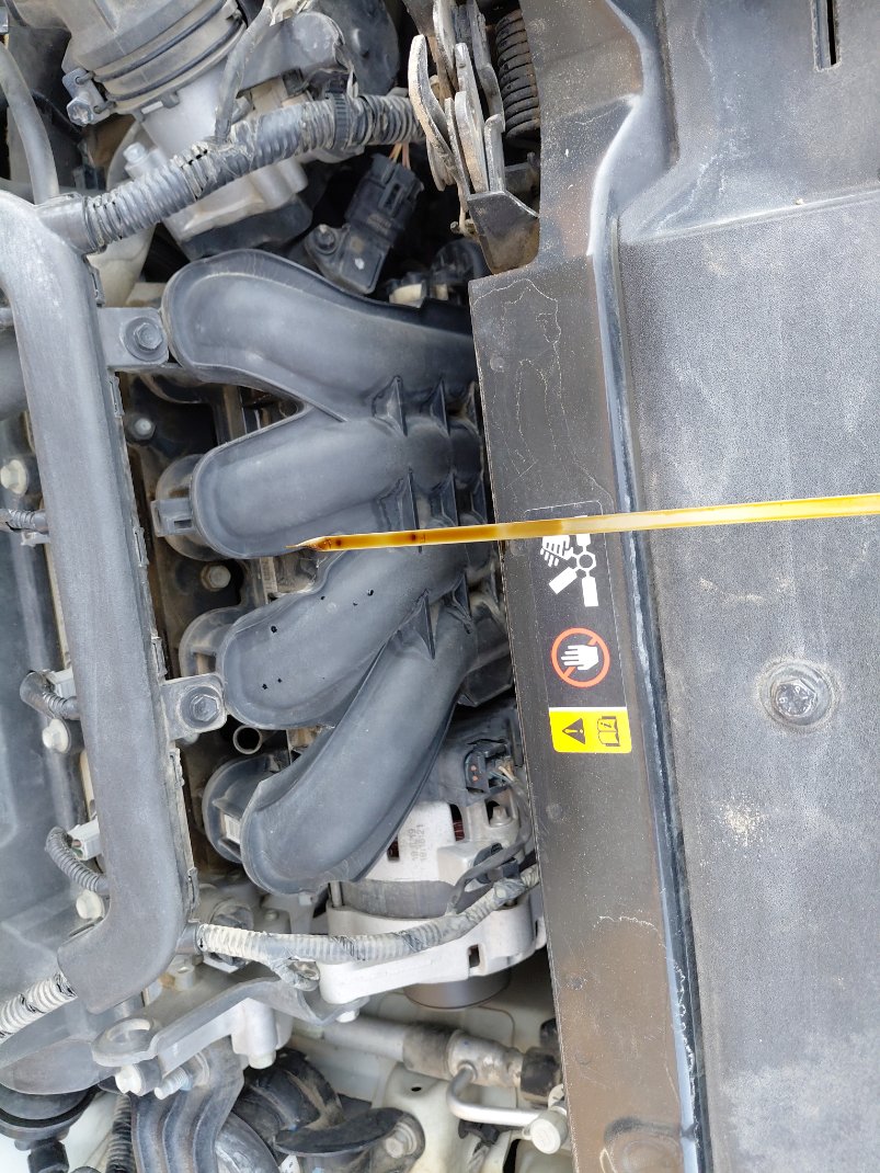 هيونداي أكسنت FLEET 2020 image