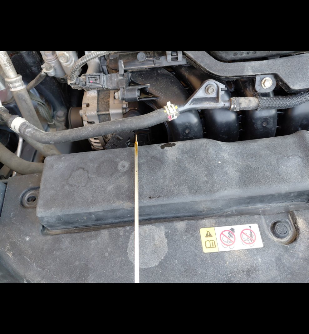 تويوتا كورولا XLI EXECUTIVE M/R 2024 image