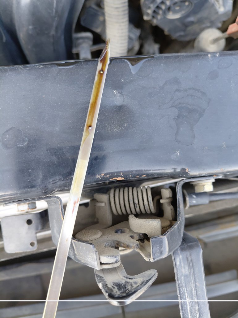 كيا بيجاس اي اكس  2021 image