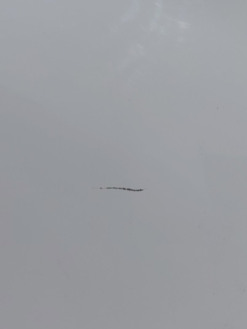 هيونداي أكسنت سمارت بلس  2023 image