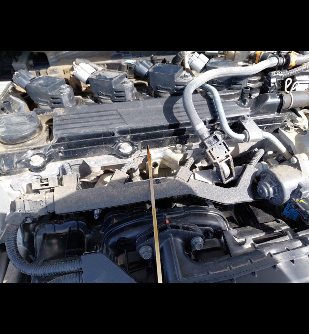 تويوتا كورولا XLI EXE M/R  2024 image