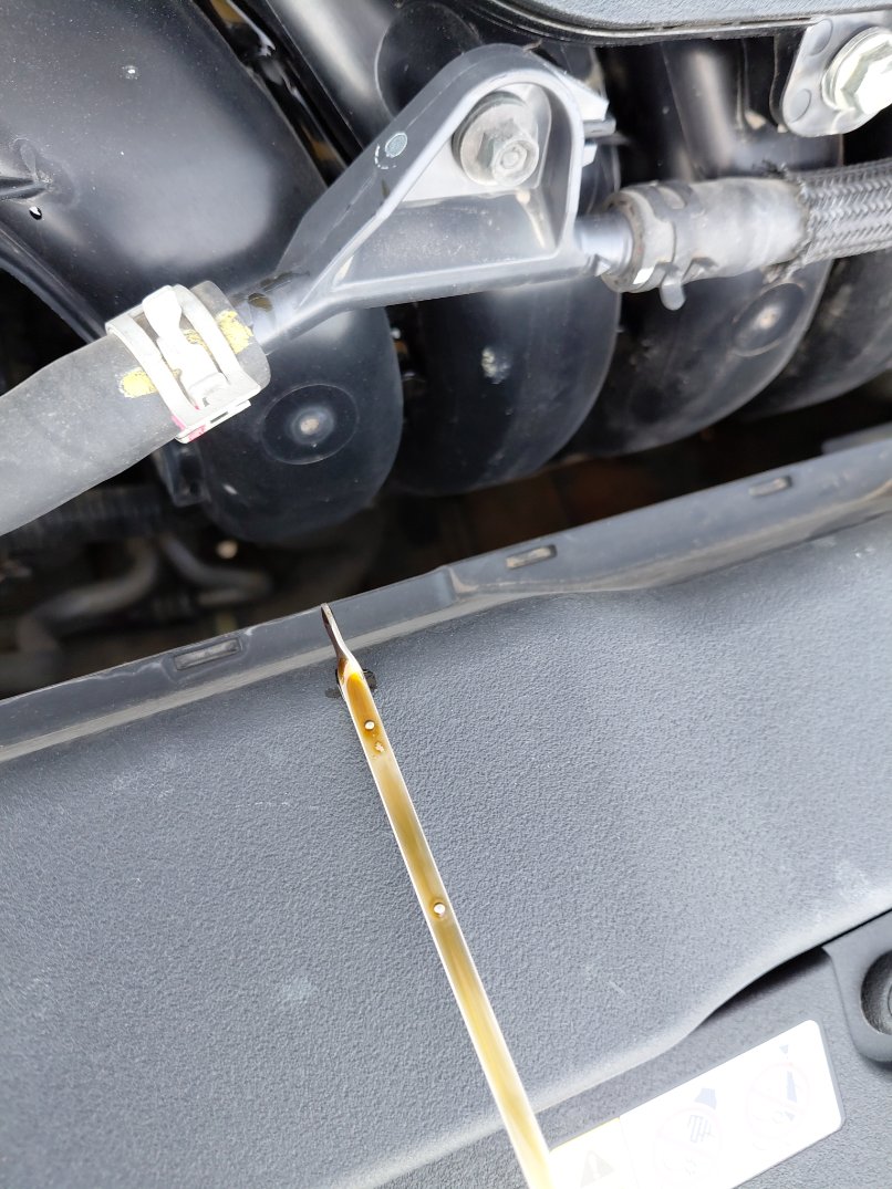 تويوتا كورولا XLI EXE  2024 image