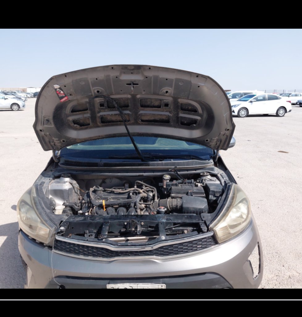 كيا بيجاس اي اكس  2021 image