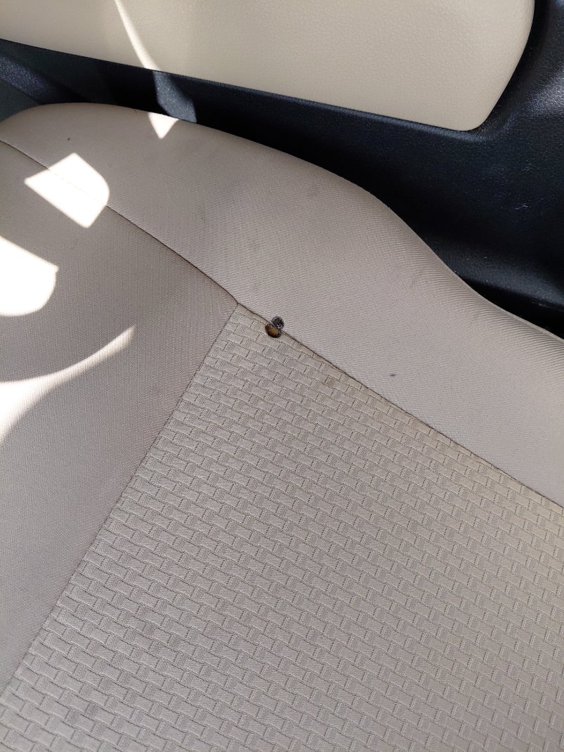 تويوتا يارس Y 2024 image