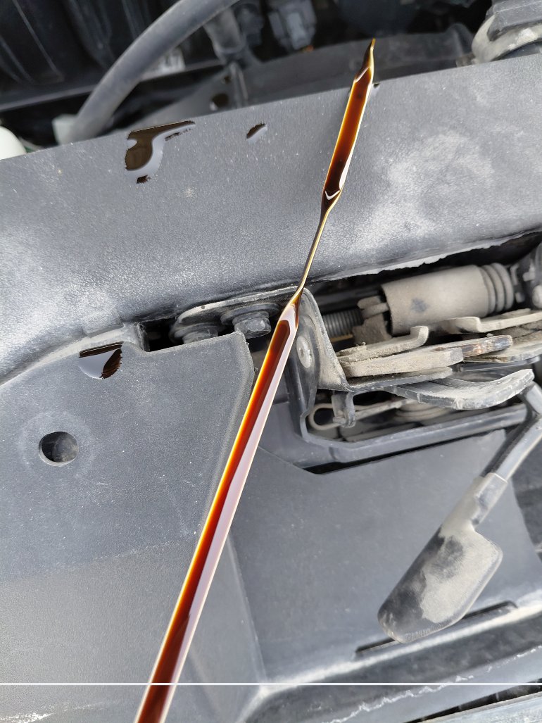 هيونداي إلنترا GL 2023 image