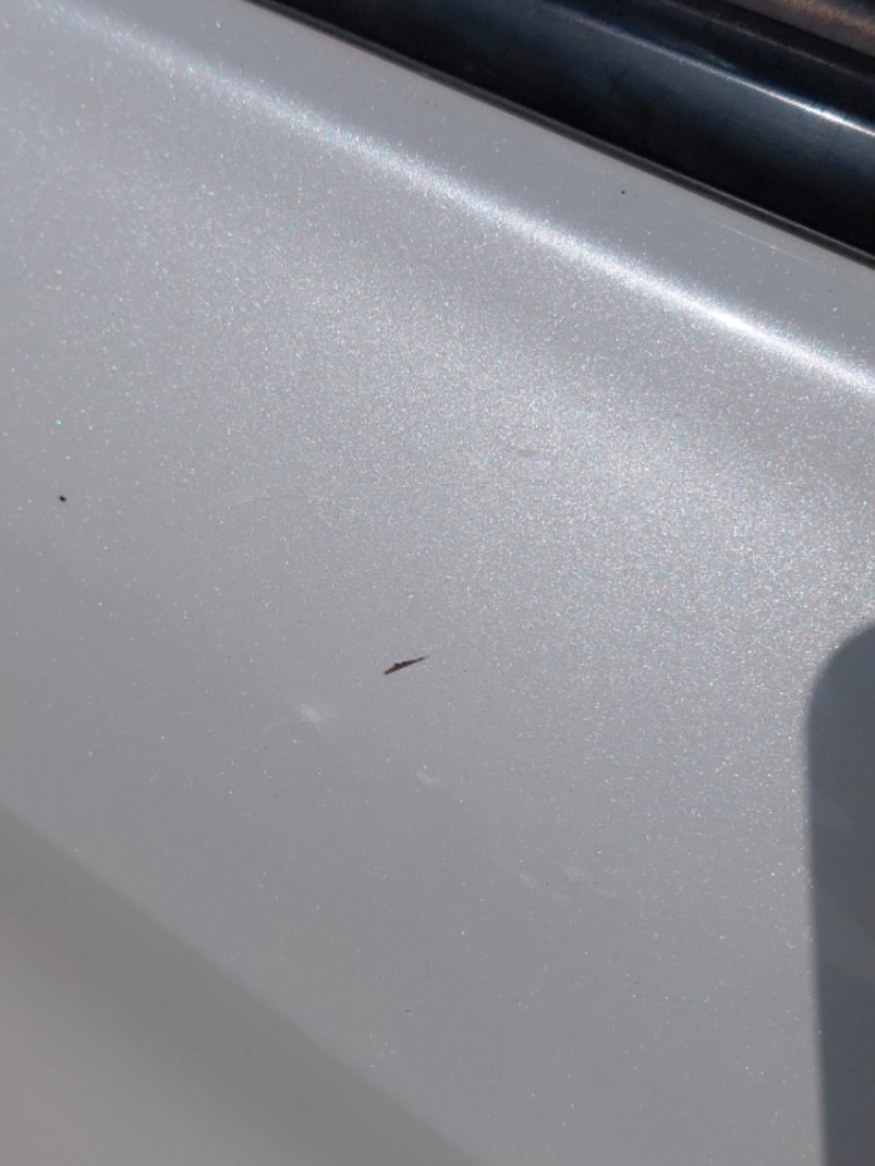 تويوتا يارس YX 2024 image