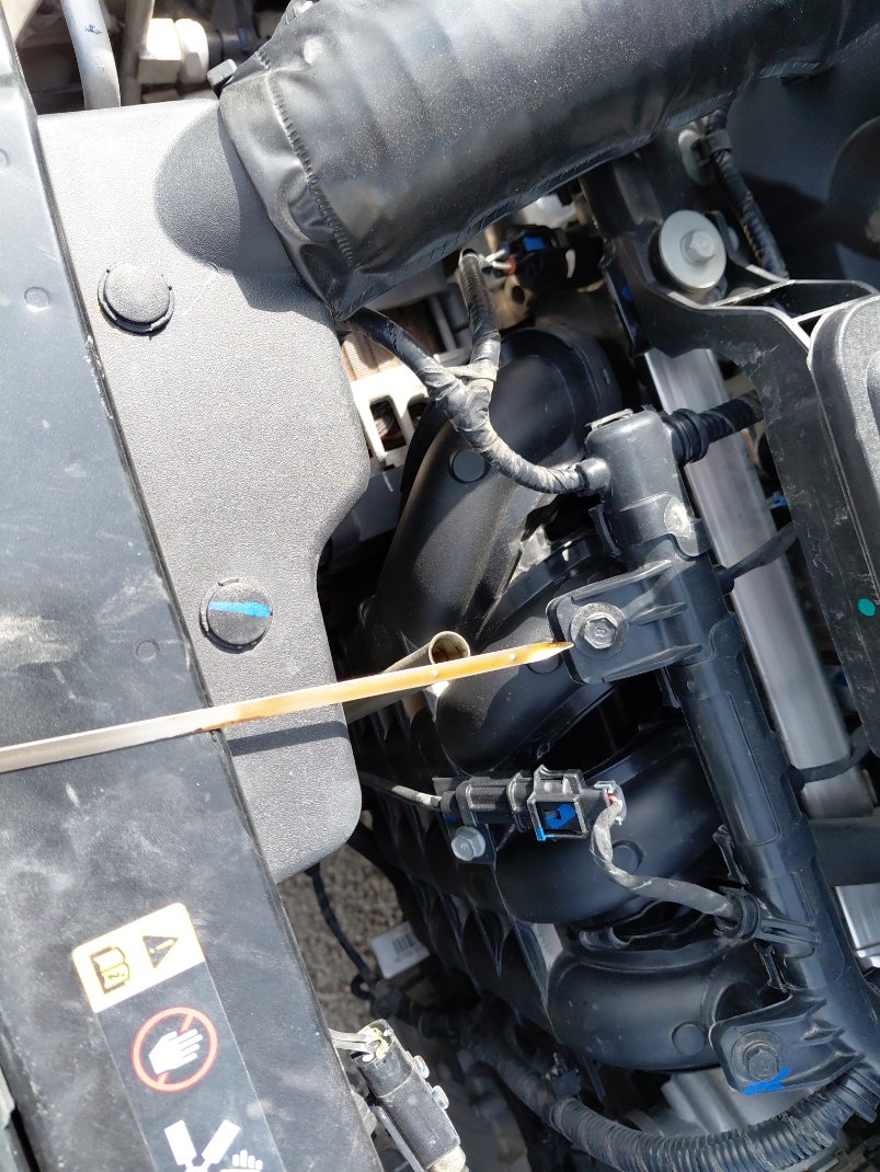 Hyundai GRAND i10 STD 2024 image