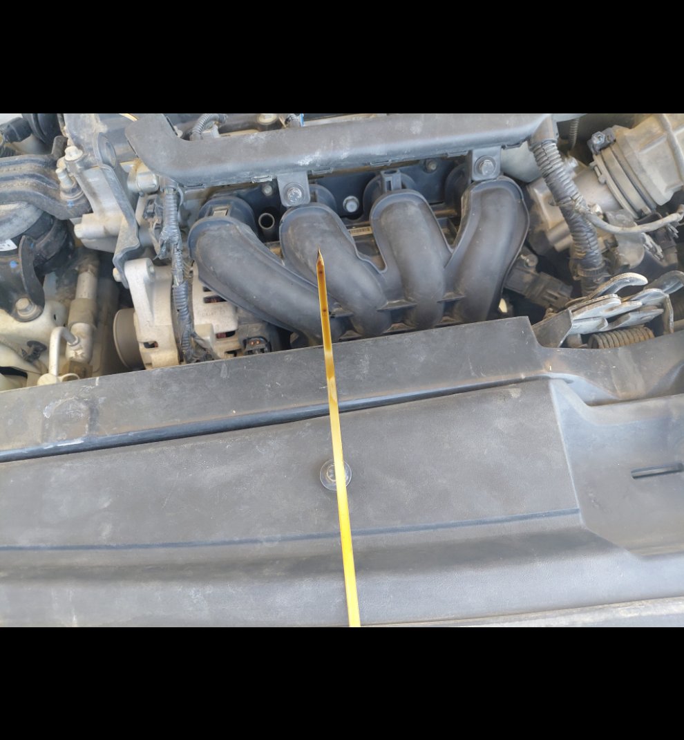 هيونداي أكسنت GL 2020 image