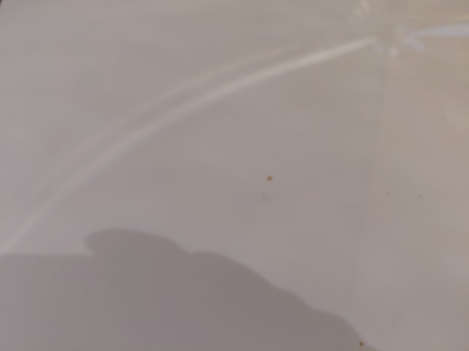 هيونداي أكسنت GL 2020 image