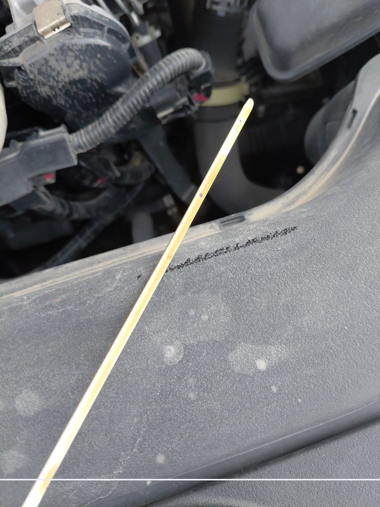 تويوتا كورولا XLI EXE  2023 image