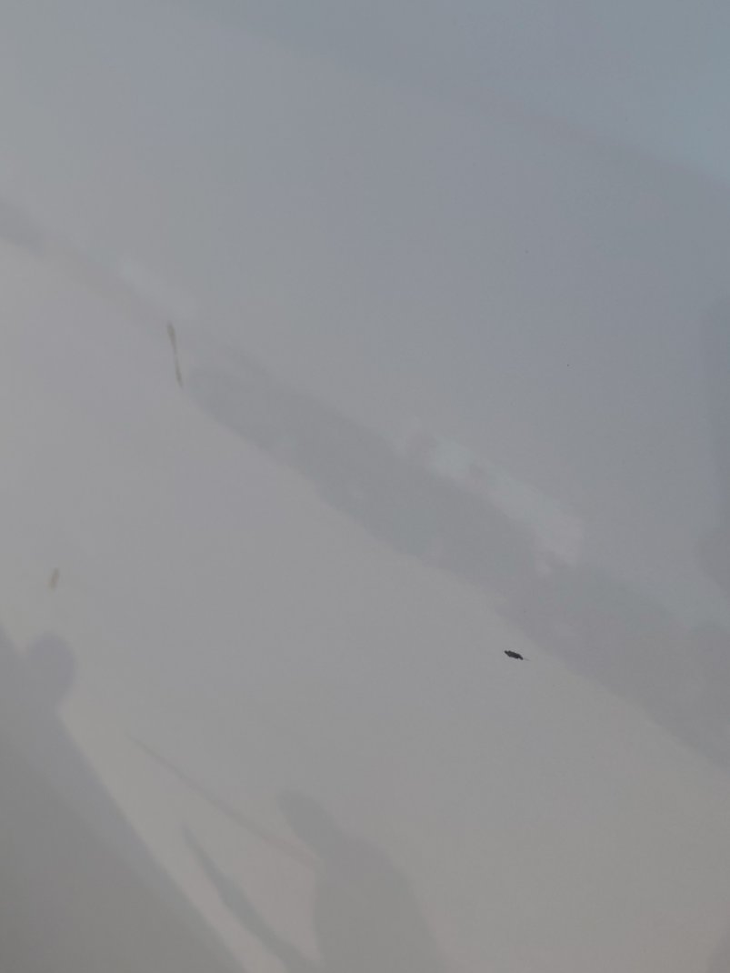 تويوتا فورتشنر GX2 SPORT  2022 image