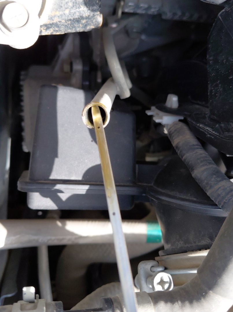 تويوتا كورولا كروس LE HEV - FWD - 2021 image