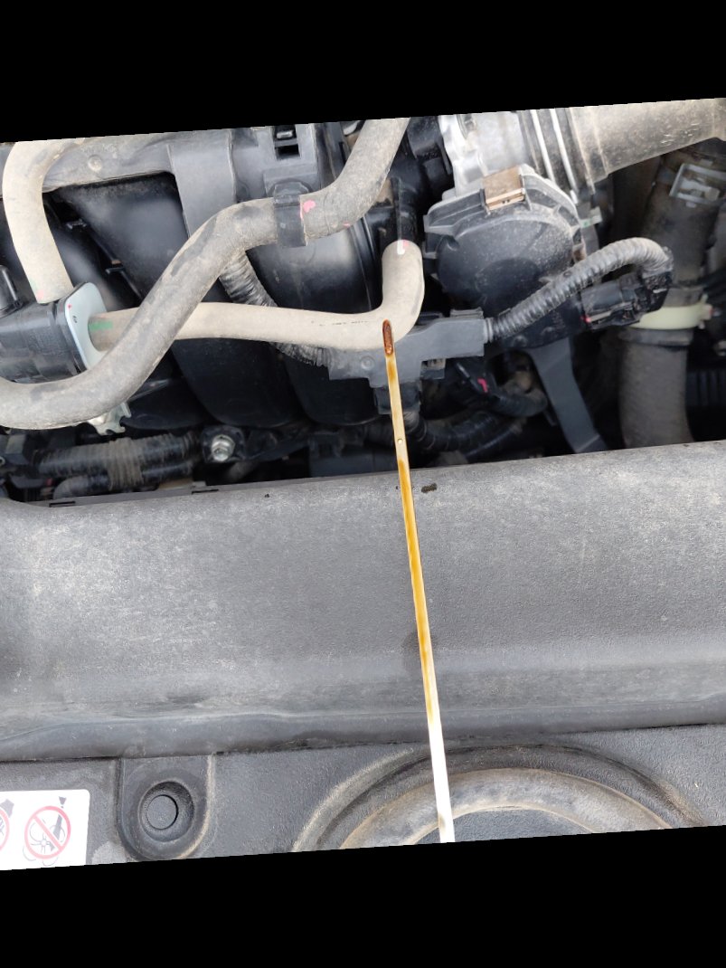 تويوتا كورولا XLI EXE 2023 image