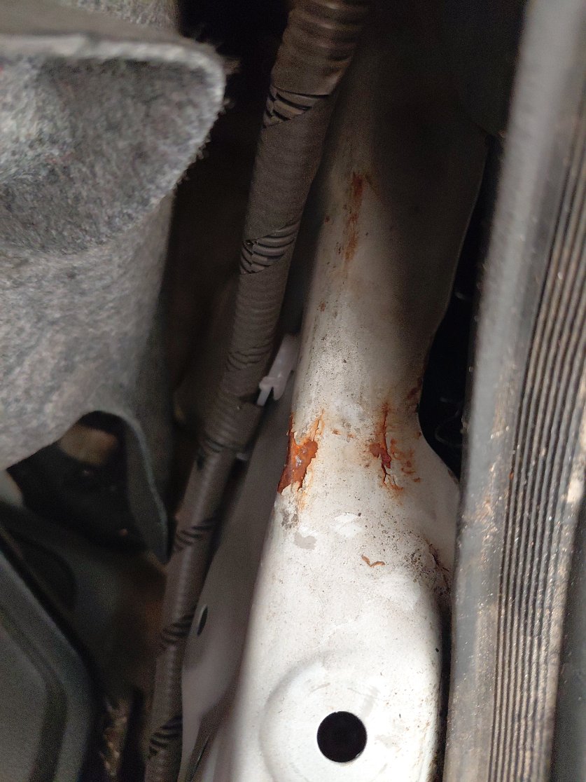 تويوتا كورولا XLI EXE 2023 image