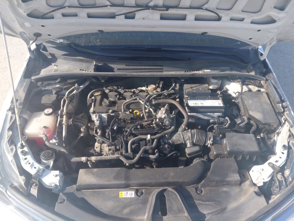 تويوتا كورولا XLI EXE  2023 image