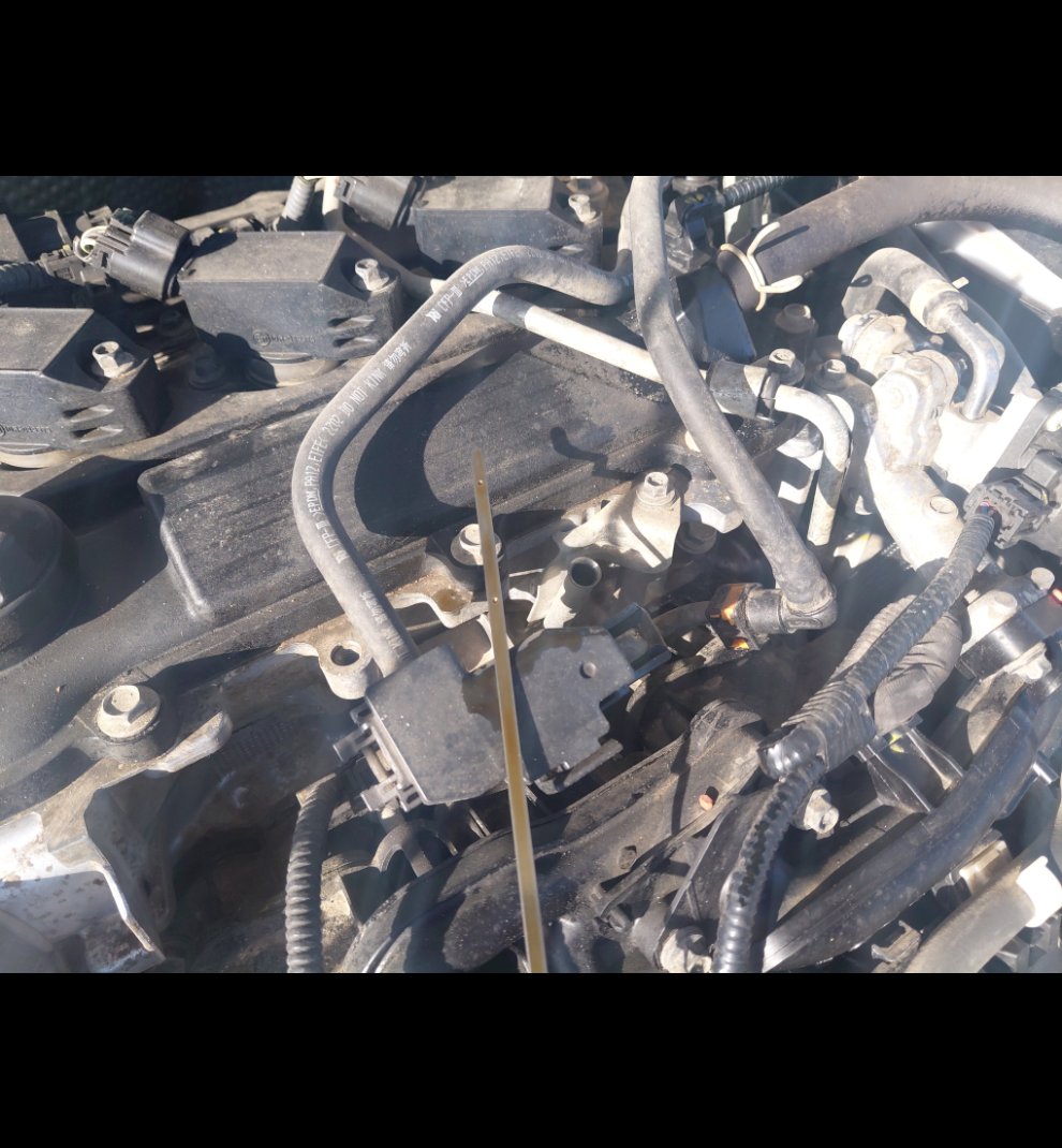 تويوتا كورولا XLI EXE  2023 image