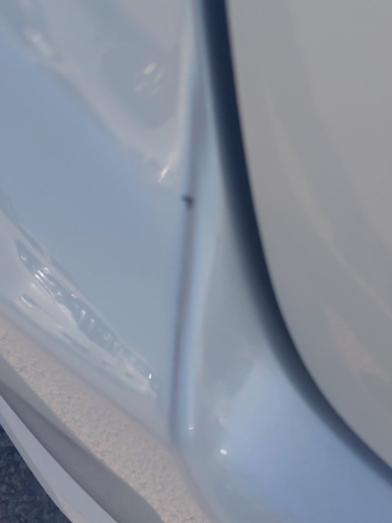 تويوتا كورولا XLI EXE  2023 image