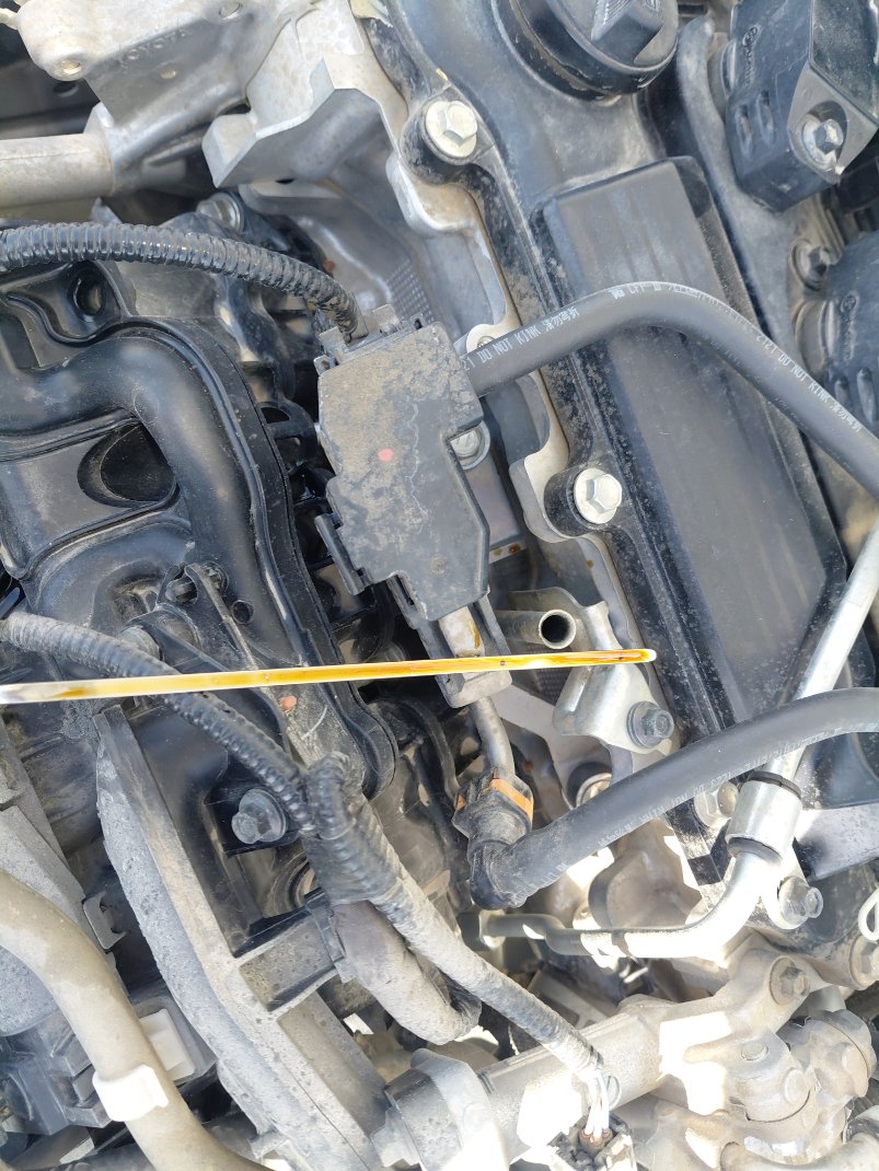 تويوتا كورولا XLI EXE M/R  2022 image