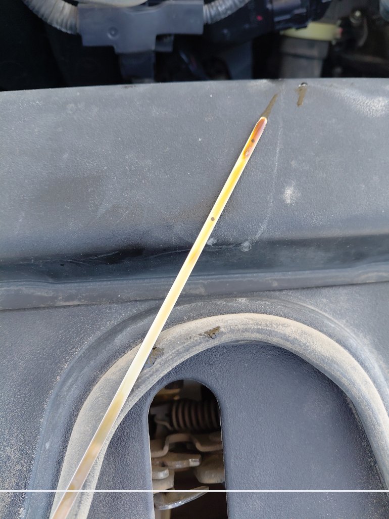 تويوتا كورولا XLI EXECUTIVE M/R 2022 image