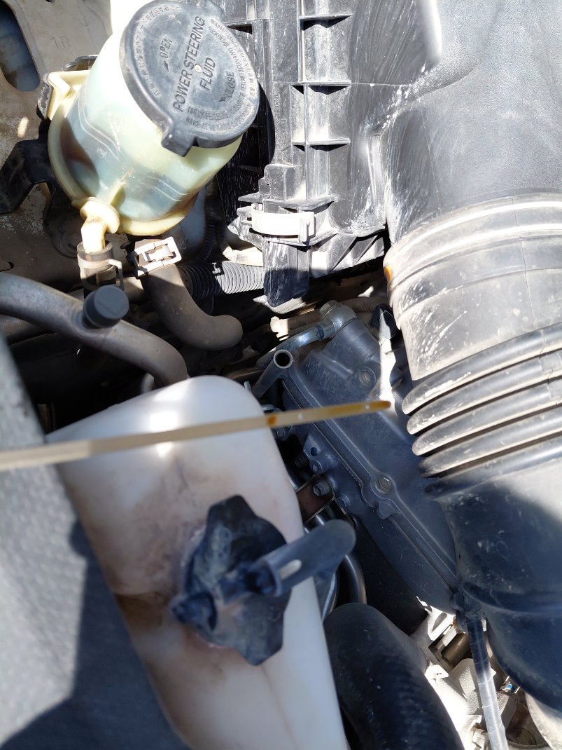 تويوتا برادو TXL1  2021 image