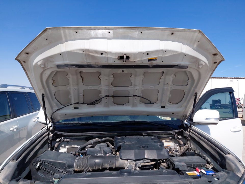 تويوتا برادو TXL1  2021 image