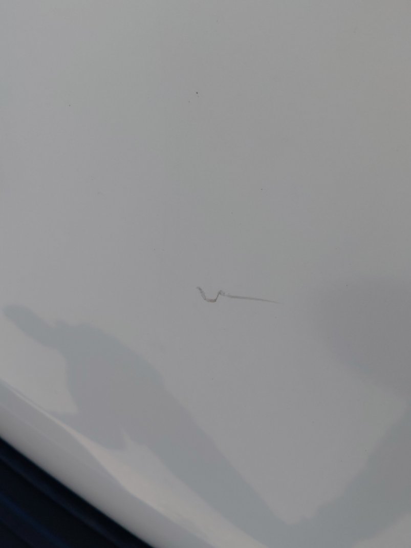 تويوتا برادو TXL1  2021 image