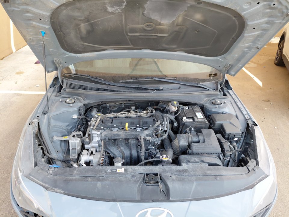 هيونداي إلنترا FLEET 2022 image