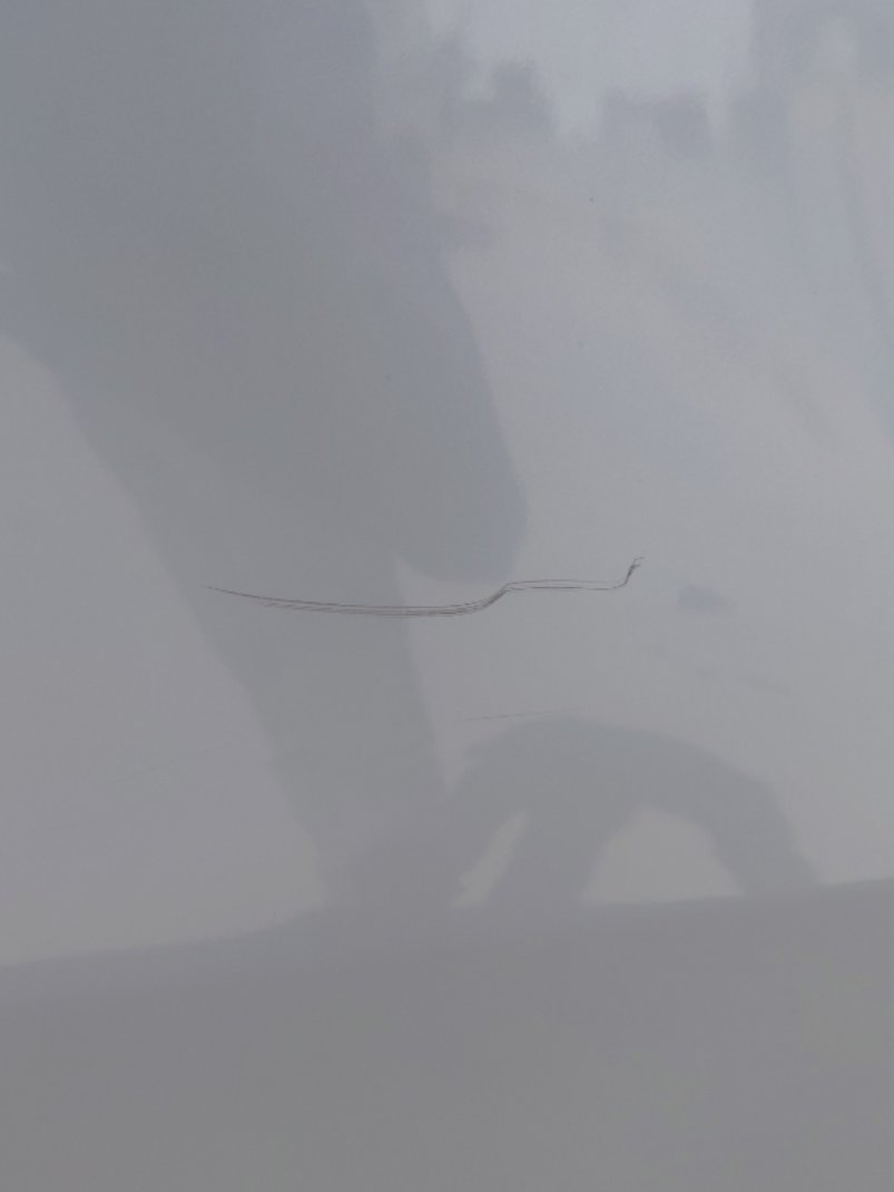 تويوتا برادو TXL1  2021 image