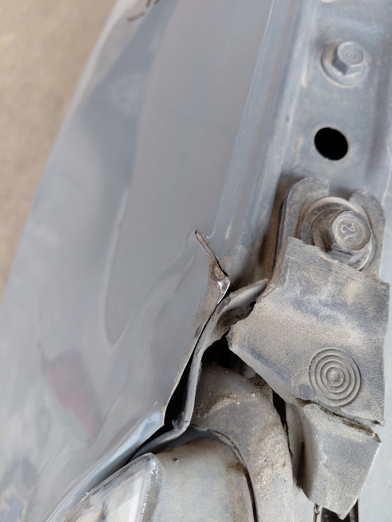 هيونداي إلنترا FLEET 2022 image