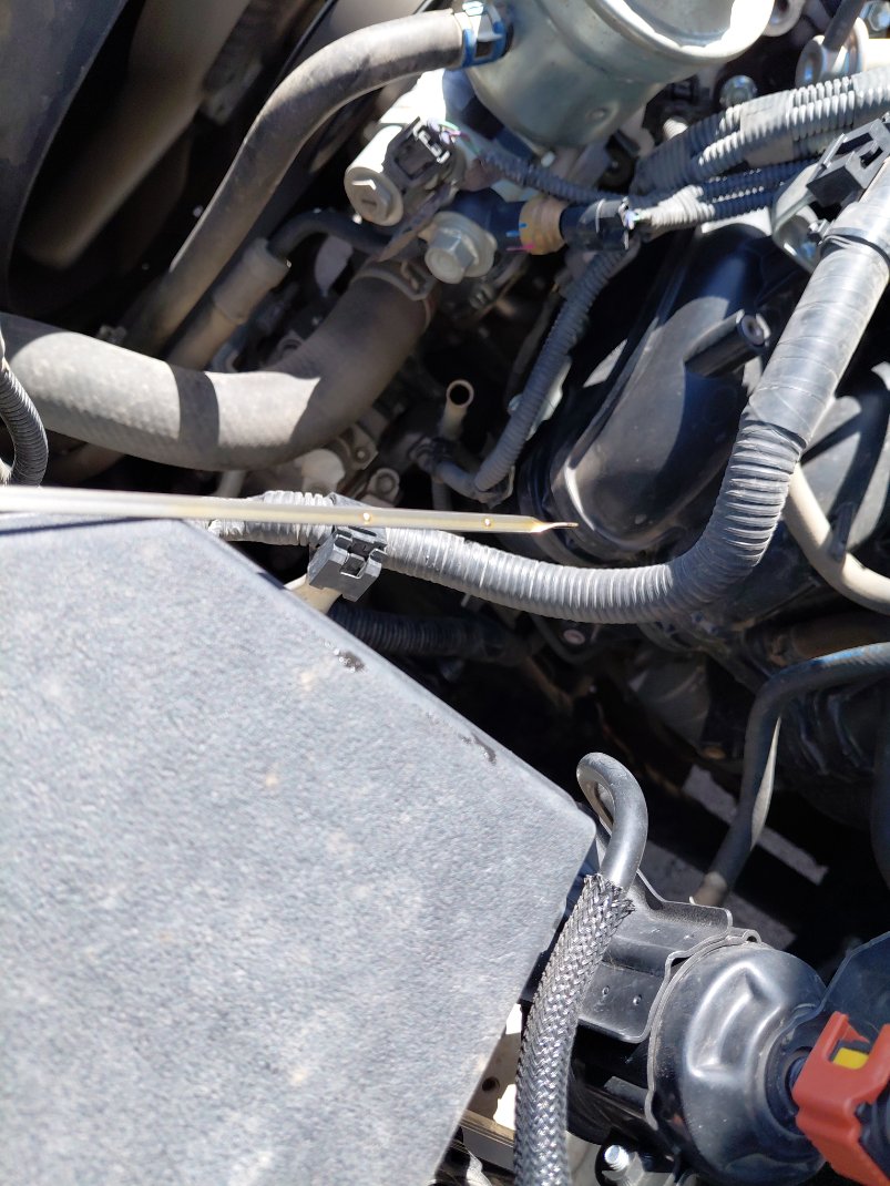 تويوتا برادو TXL1  2022 image