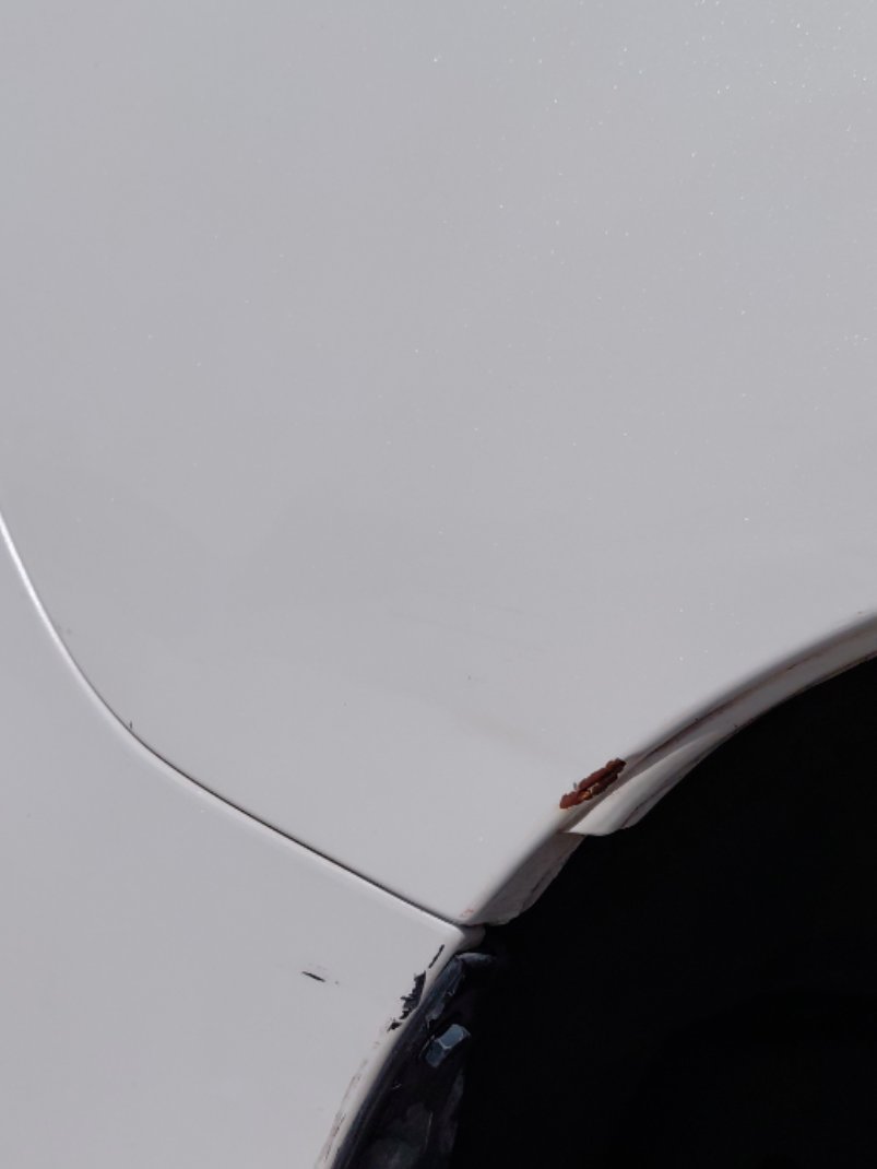 تويوتا برادو TXL1  2022 image