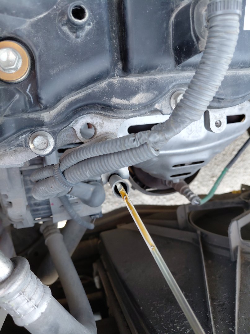 تويوتا فيلوز GLX 2024 image