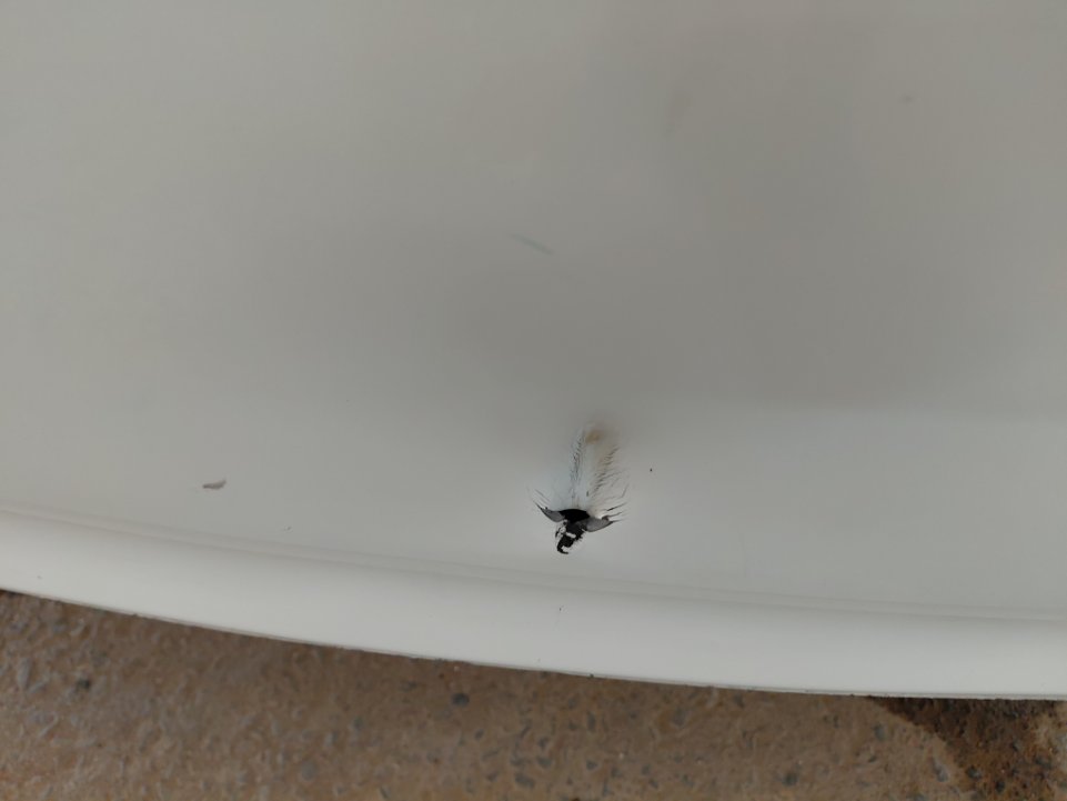 تويوتا يارس Y 2 2022 image