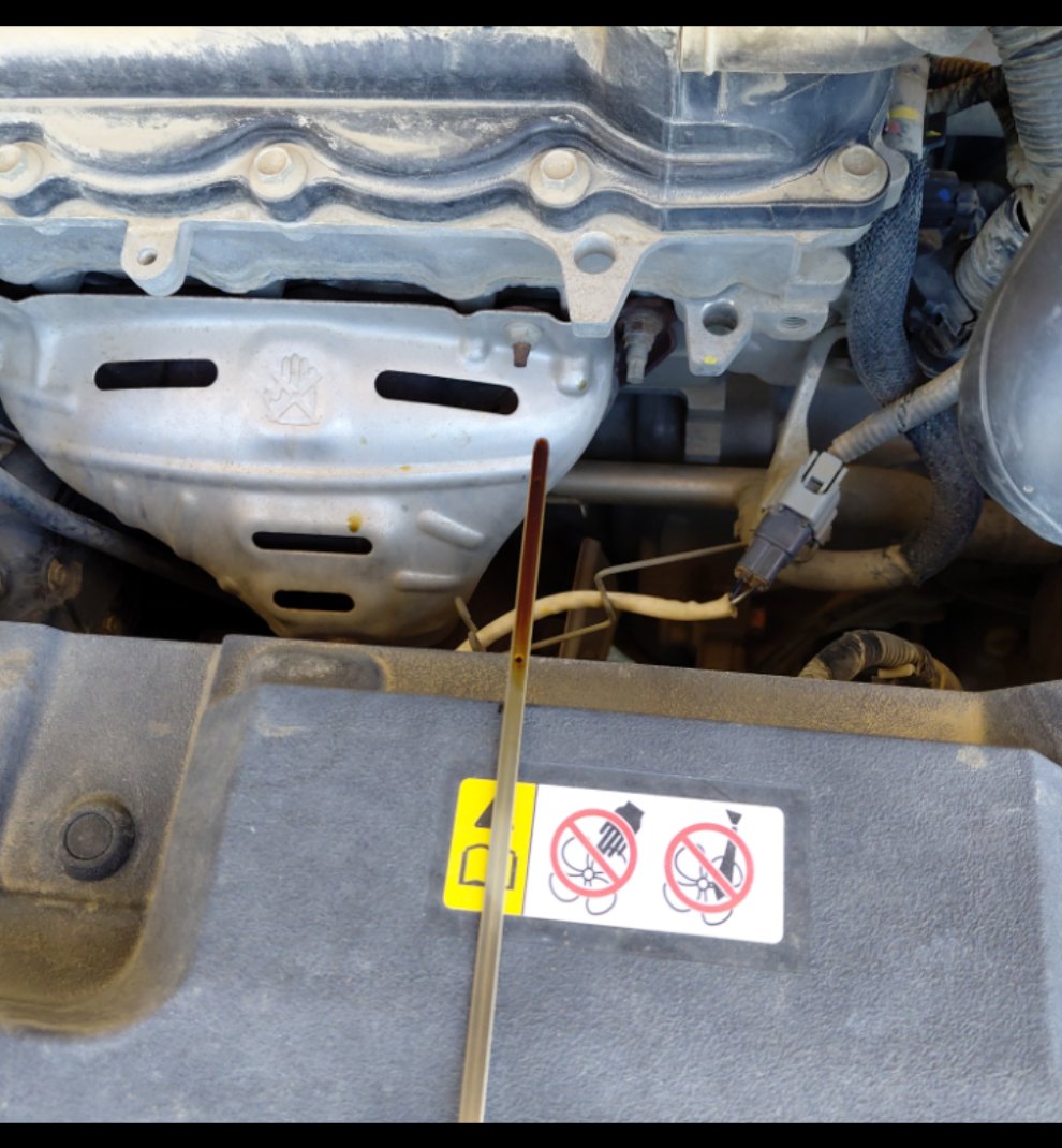 تويوتا يارس Y PLUS 2020 image