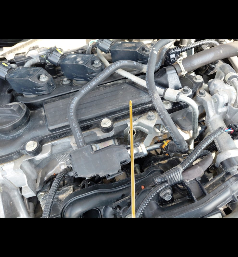 تويوتا كورولا XLI 2022 image