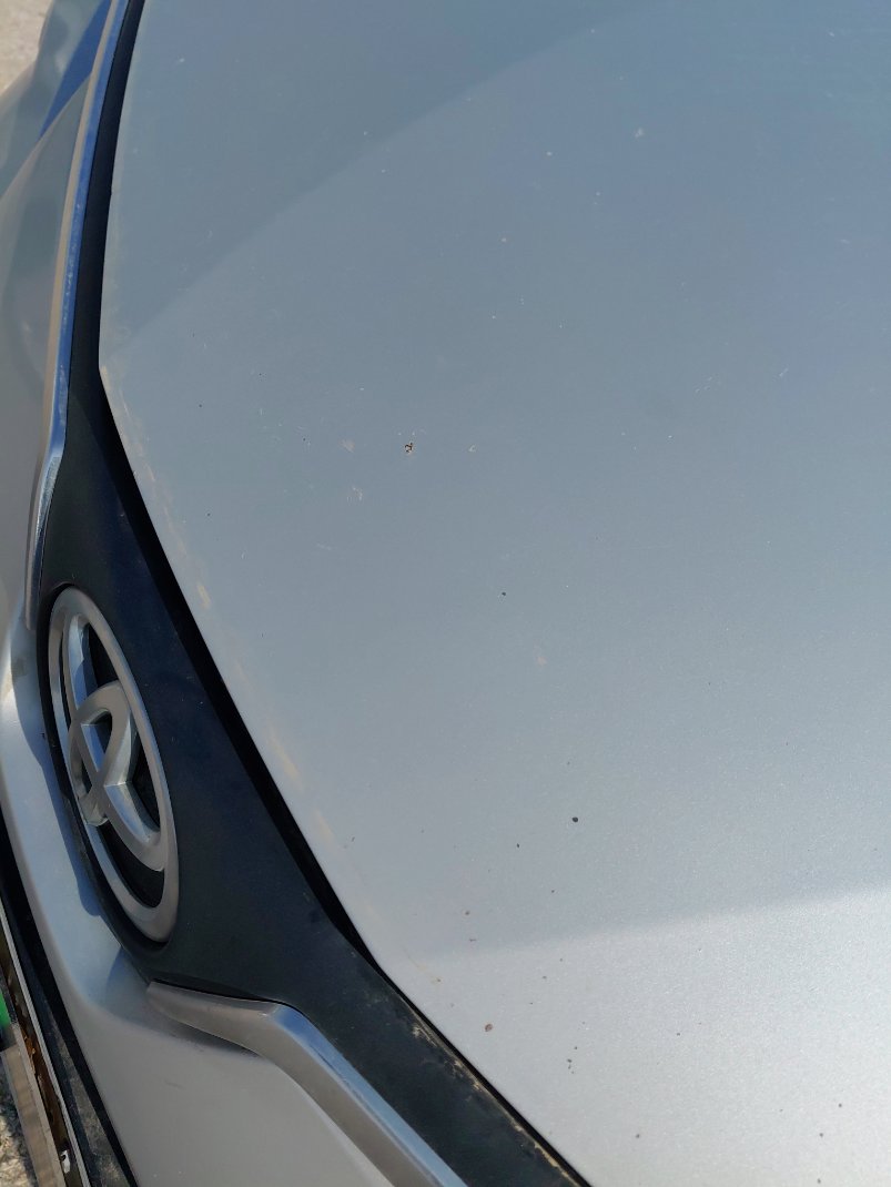 تويوتا كورولا XLI 2022 image