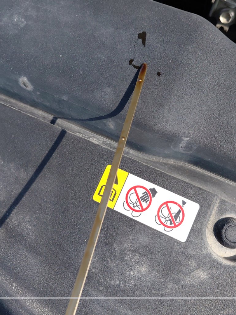 تويوتا كورولا XLI EXECUTIVE M/R  2021 image