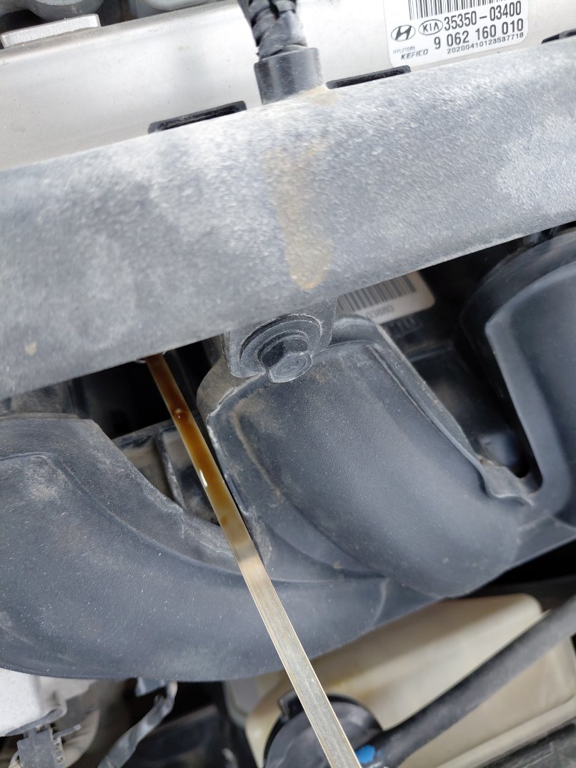 هيونداي أكسنت FLEET 2021 image