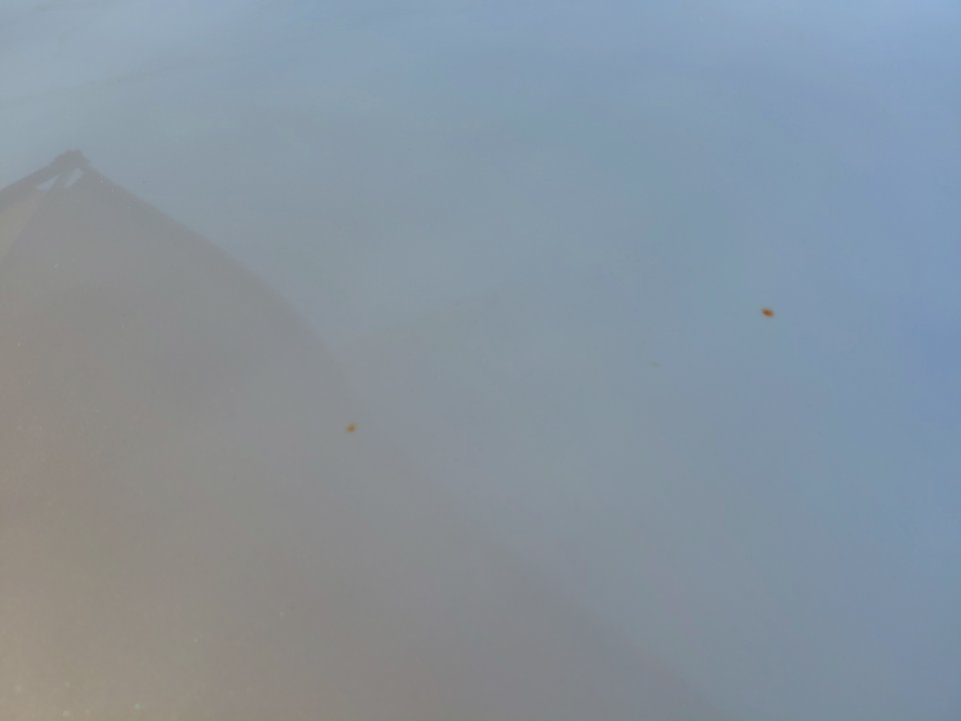 تويوتا يارس Y FLT2 2022 image