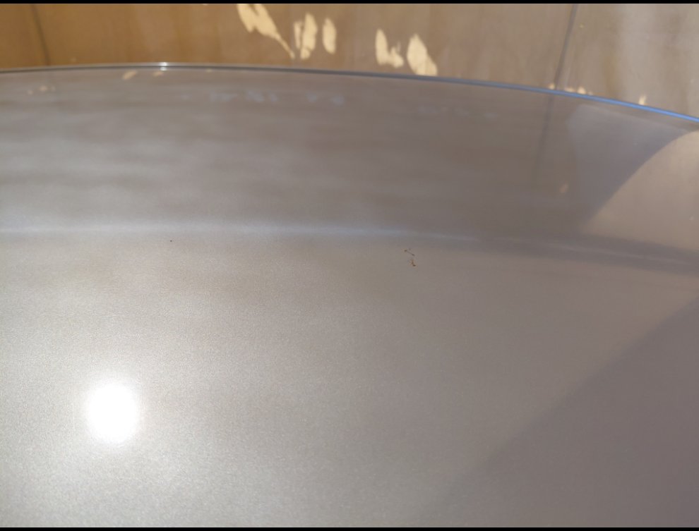 كيا سيراتو FLEET - 2022 image