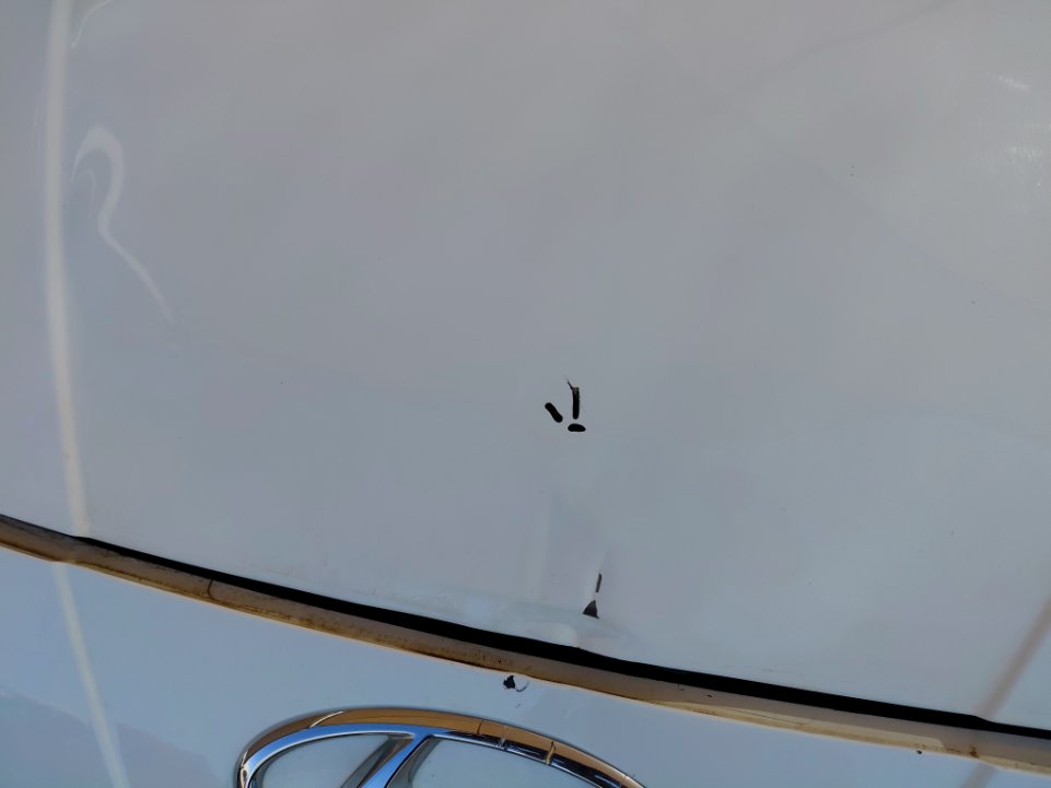 هيونداي إلنترا  FLEET  2022 image