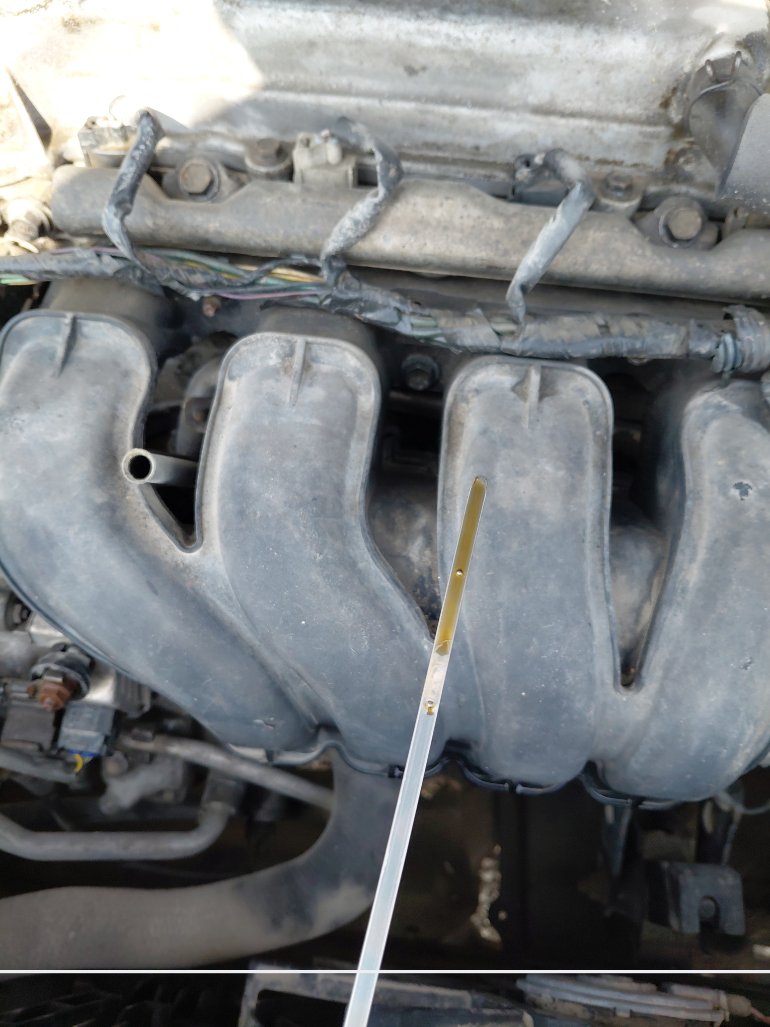 تويوتا كورولا  2009 image