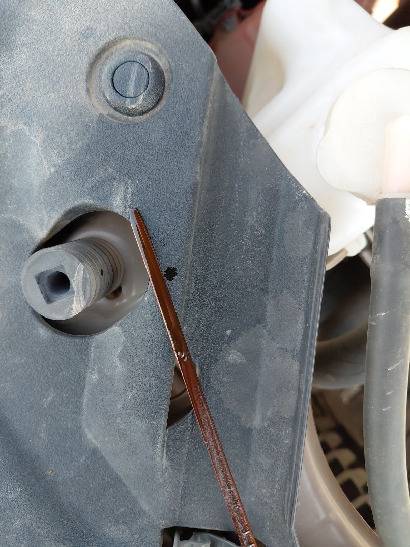 تويوتا يارس Y PLUS  2023 image