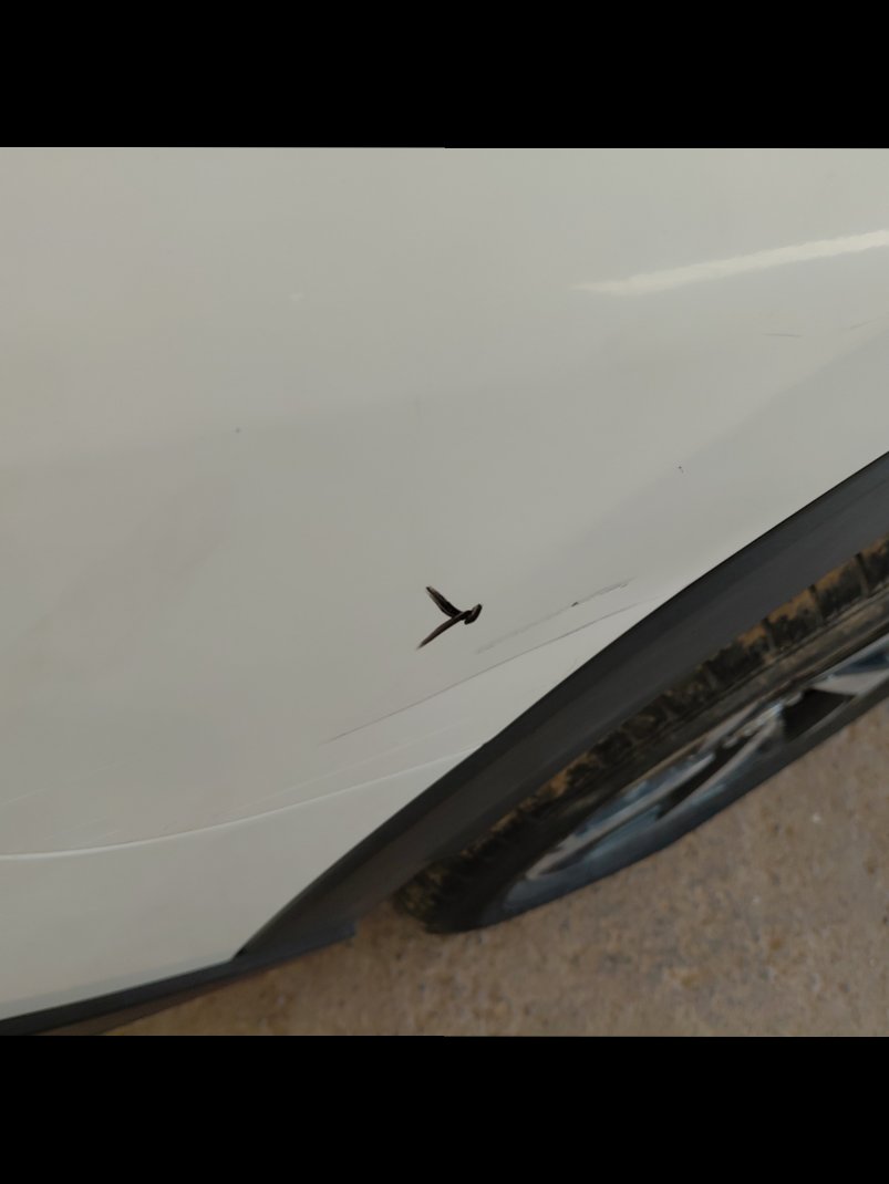 تويوتا راش GL 75 SPORTS UTILITY  2021 image